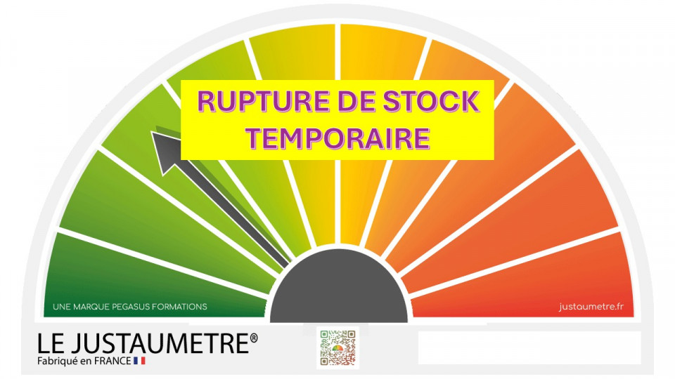UN TRUC DE DINGUE .... RUPTURE DE STOCK À LA BOUTIQUE DU JUSTAUMETRE®