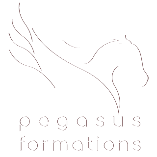 PEGASUS-FORMATIONS